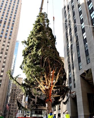 Photos: The Rockefeller Center Christmas tree's journey to the big city