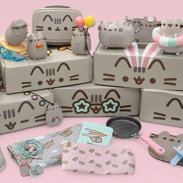 Pusheen Cat Kit