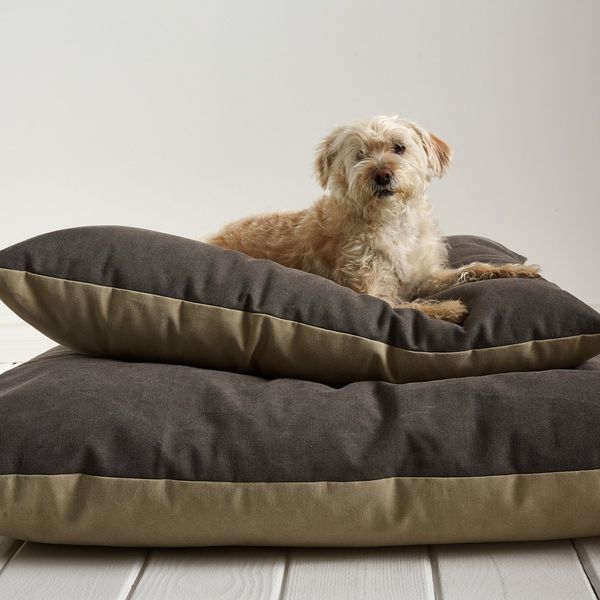 Parachute Dog Bed (Small)