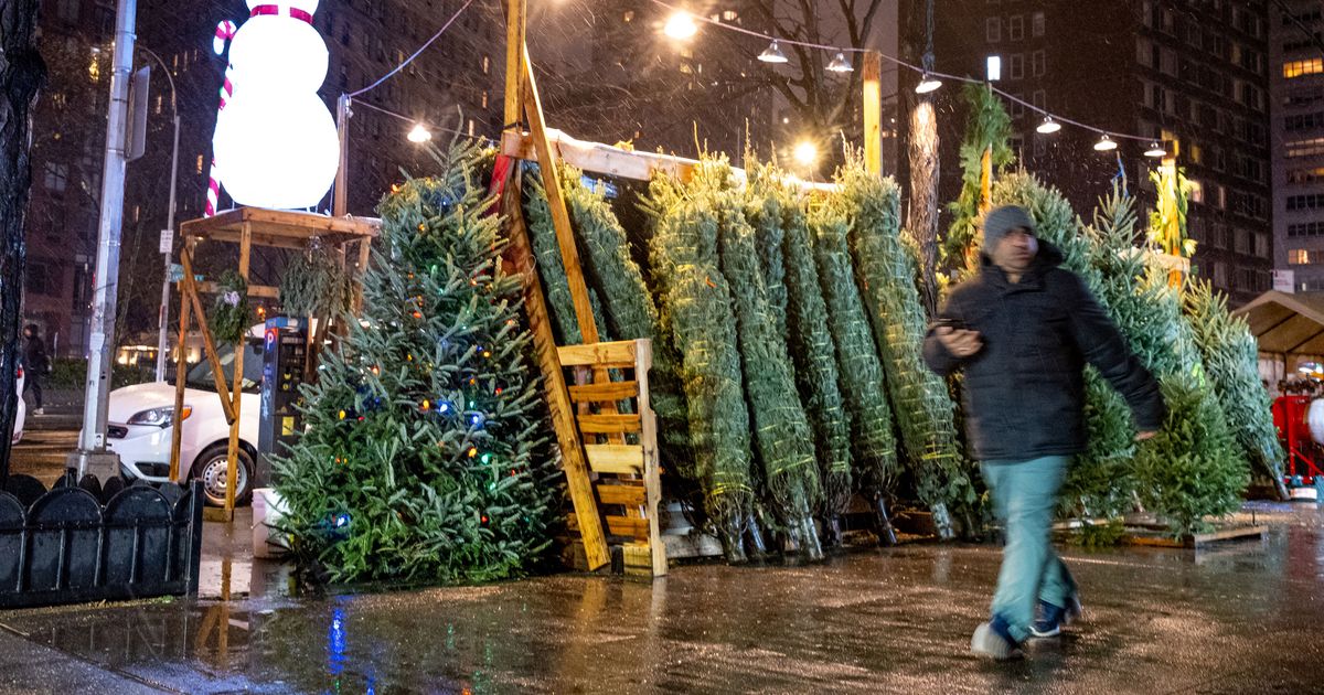 It Hasn’t Really Snowed in New York City in Almost Two Years