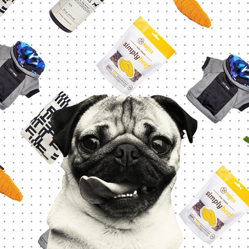 Doug The Pug S Favorite Things 2017 The Strategist New York Magazine