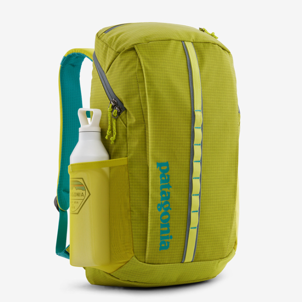 Patagonia Black Hole Pack 25L