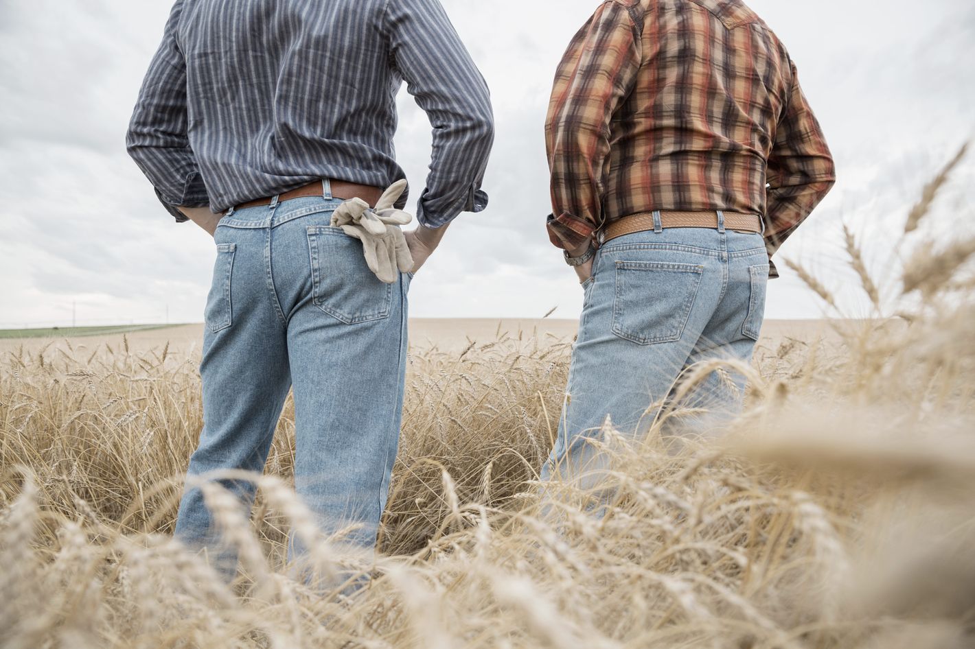 Why Straight Rural Men Have Gay Bud-Sex With Each Other -- Science of Us picture