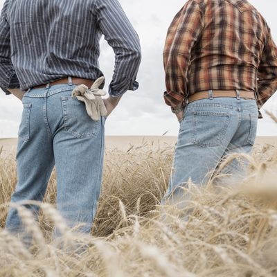 Amateur Drunk Fuck - Why Straight Rural Men Have Gay 'Bud-Sex' With Each Other -- Science of Us