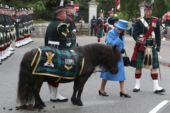Queen Elizabeth and pony.