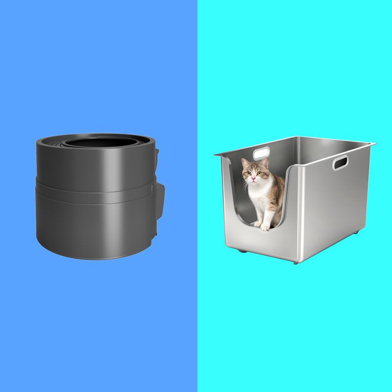 The Best Litter Boxes, According to Cat People | The Strategist