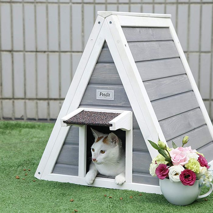 wooden cat houses outdoor uk