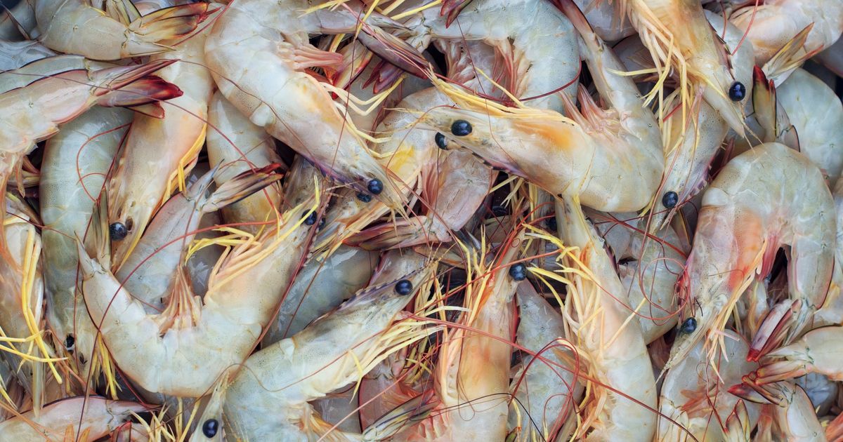 There’s A Good Chance The Shrimp You’re Buying Is Mislabeled