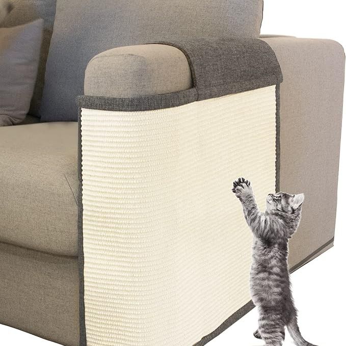 Scratch Protector How To Stop The Cat From Scratching The