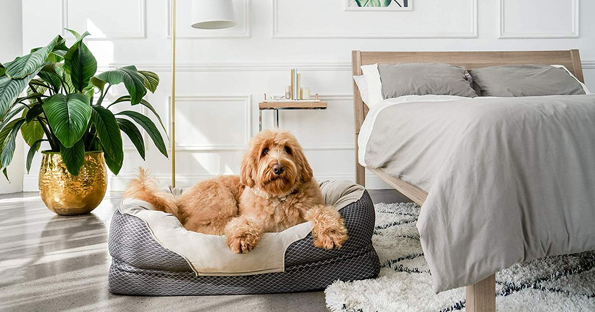 dog beds online cheap