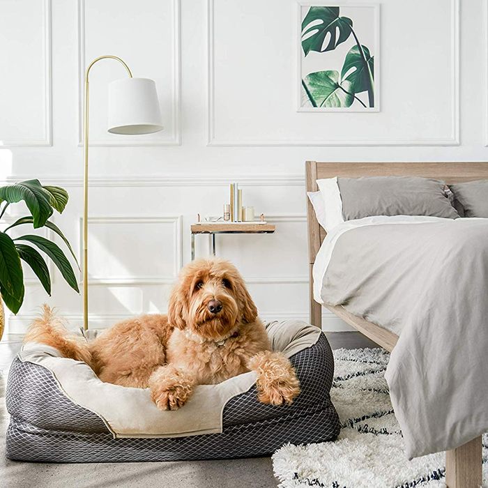 affordable large dog beds