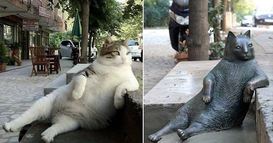 Tombili the Cat Immortalized in New Statue