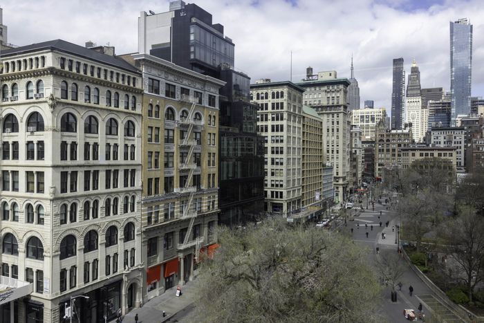 A shot showing Union Square apartments, trees and the Manhattan skyline
