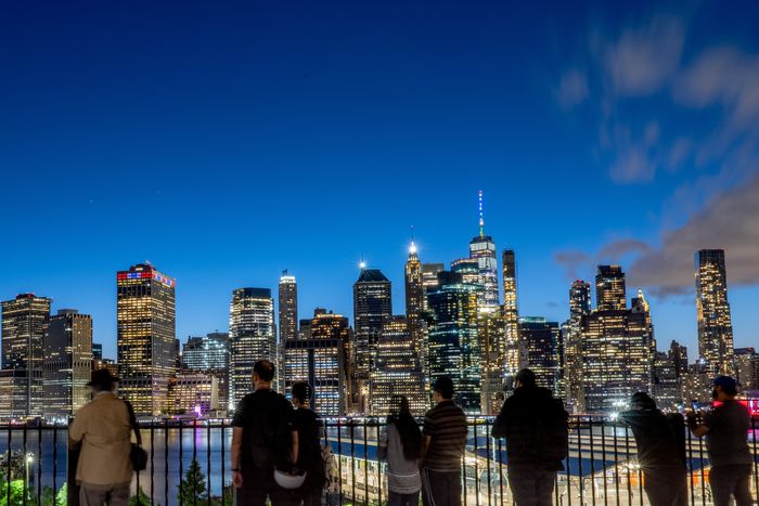 Brooklyn Heights Promenade Tours - Book Now