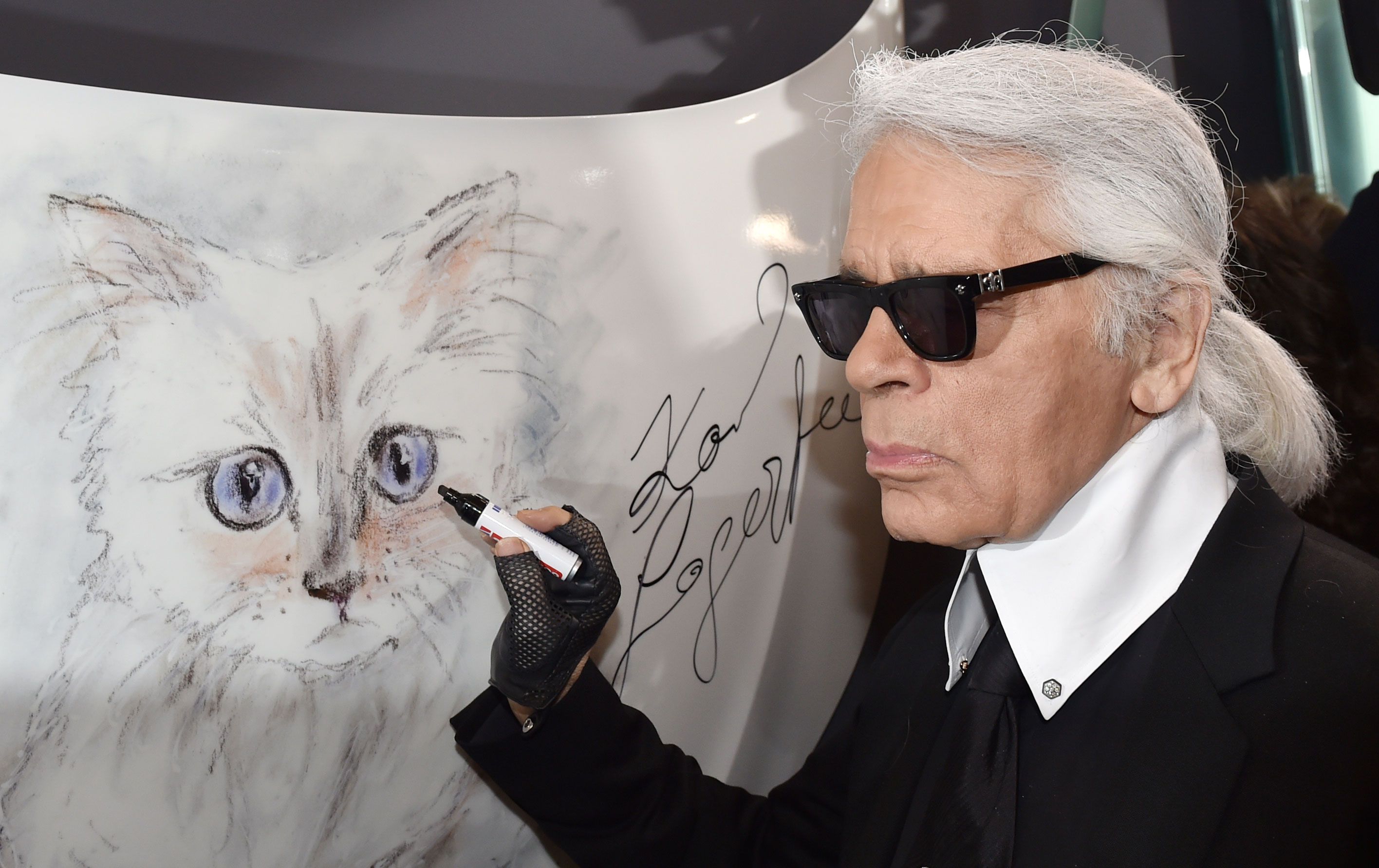 Choupette, Karl Lagerfeld's cat, became an Instagram star