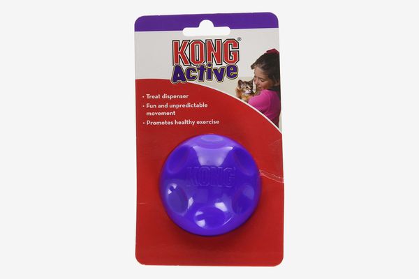 Kong Active Treat Ball Toy for Cats