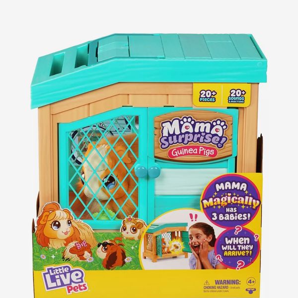 Where to Buy Little Live Pets Mama Surprise, 2022's Hottest Toy