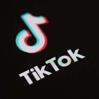 the rock meme download｜TikTok Search