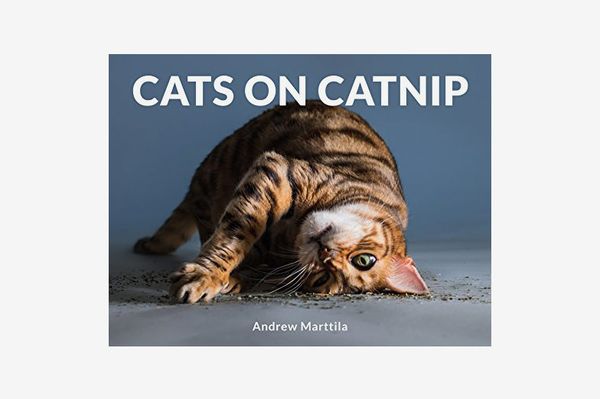 Cats on Catnip by Andrew Marttila