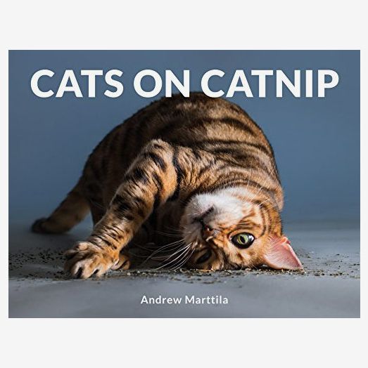 Cats on Catnip by Andrew Marttila