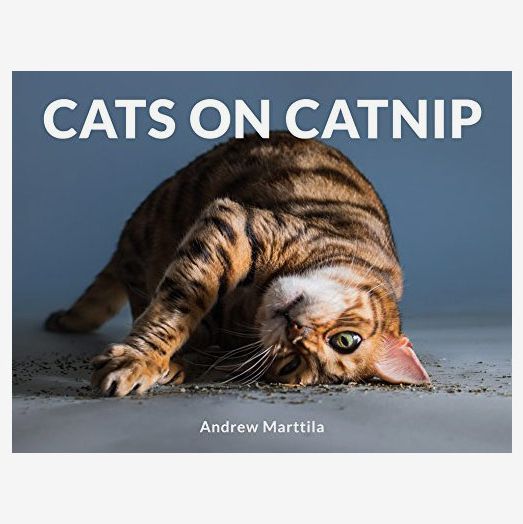 68 Best Gifts for Cat Lovers 2024