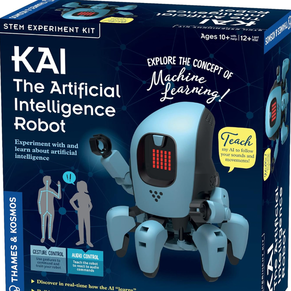 Kai the Artificial Intelligence Robot