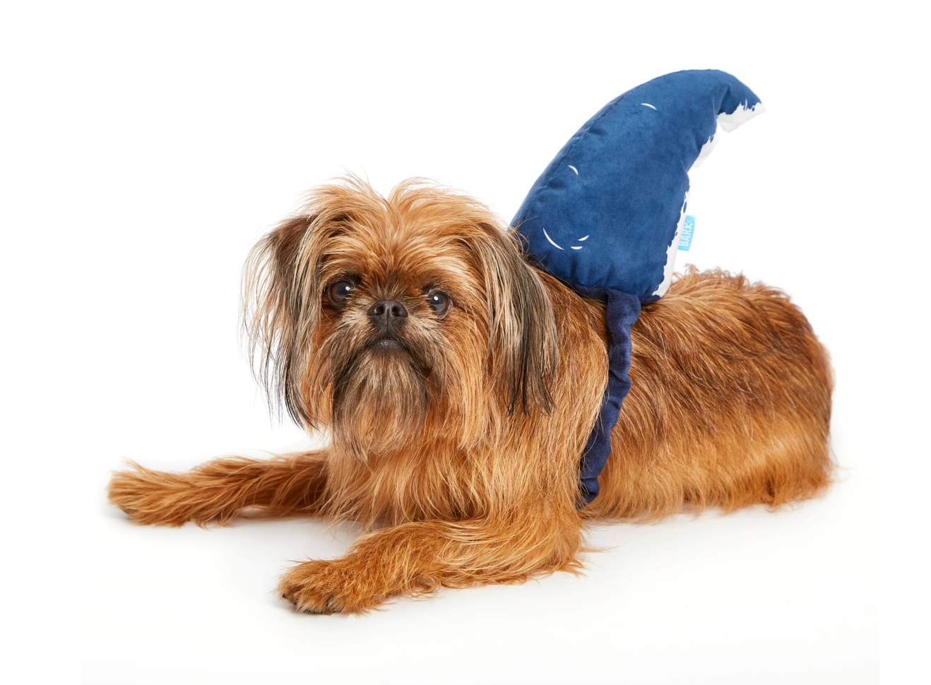 The Best Pet Costumes We've Seen for Halloween 2018 - LAmag