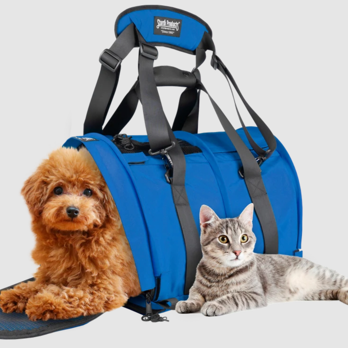 Pet Carrier Hard Sided Cat Dog Comfort Travel Tote Bag Travel BE 