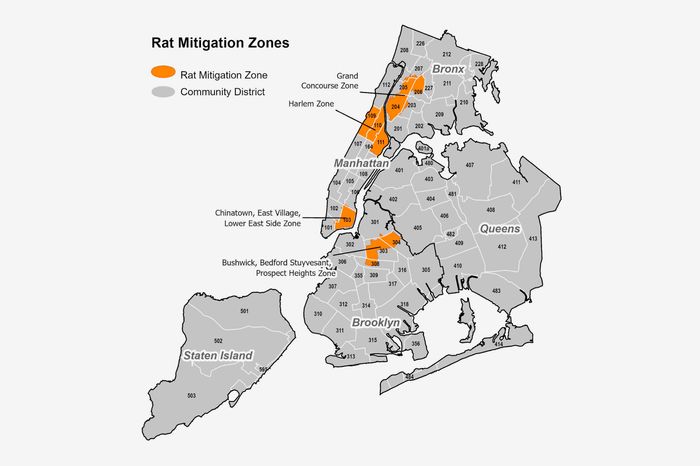 How these cities became rat-free zones