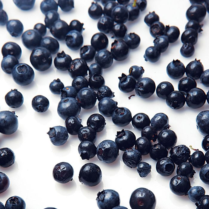 Wild Blueberries Arrive at the Greenmarket