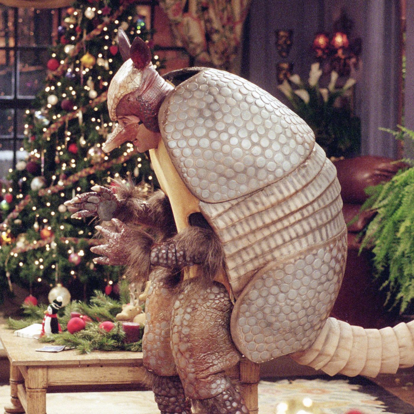 Friends Holiday Armadillo [Book]