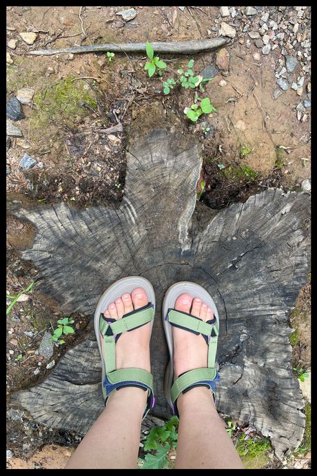 A photo of a person's feet standing on a tree stump, wearing gray and green sandals.