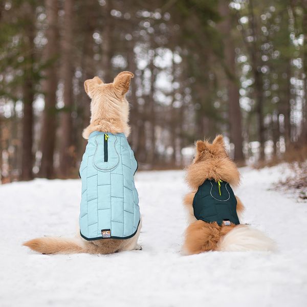 15 Best Dog Jackets And Coats 21 The Strategist