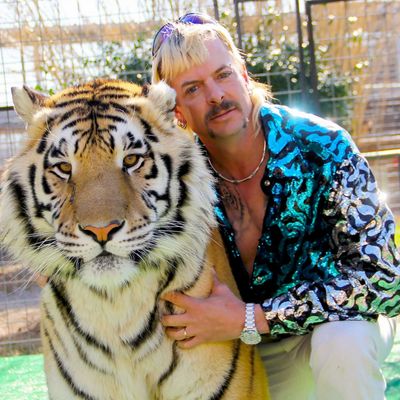 ‘Tiger King: Murder, Mayhem and Madness’ TV Show Season 1 - 2020