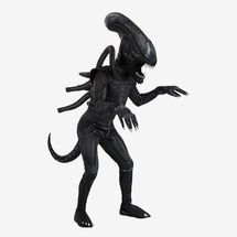 Fun Costumes Alien Xenomorph Costume for Adults