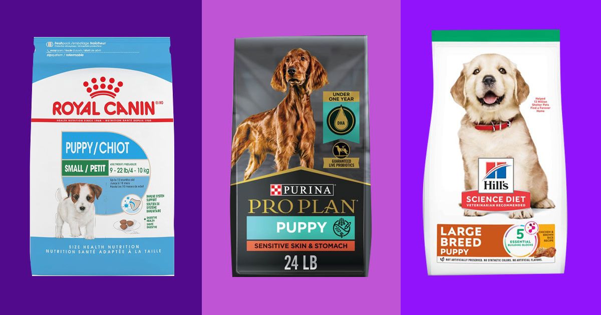 Best Dog Food for Puppies The Strategist