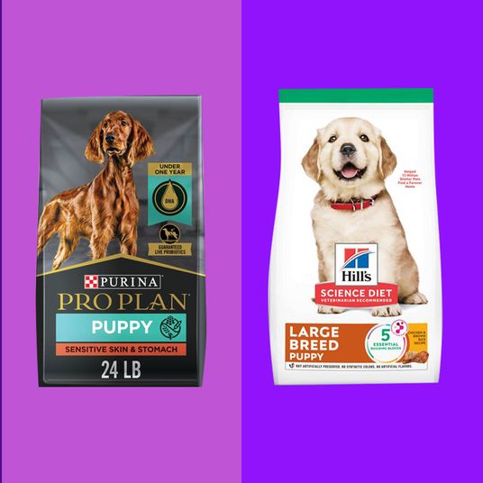 11 Best Dog Foods 2024 The Strategist