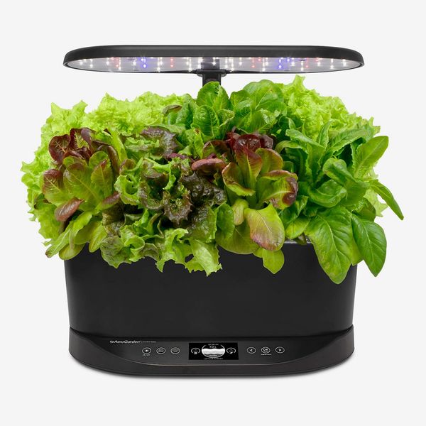 AeroGarden Bounty Basic, Black