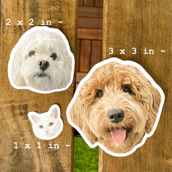 Custom Pet Stickers