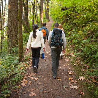 family walking in forest