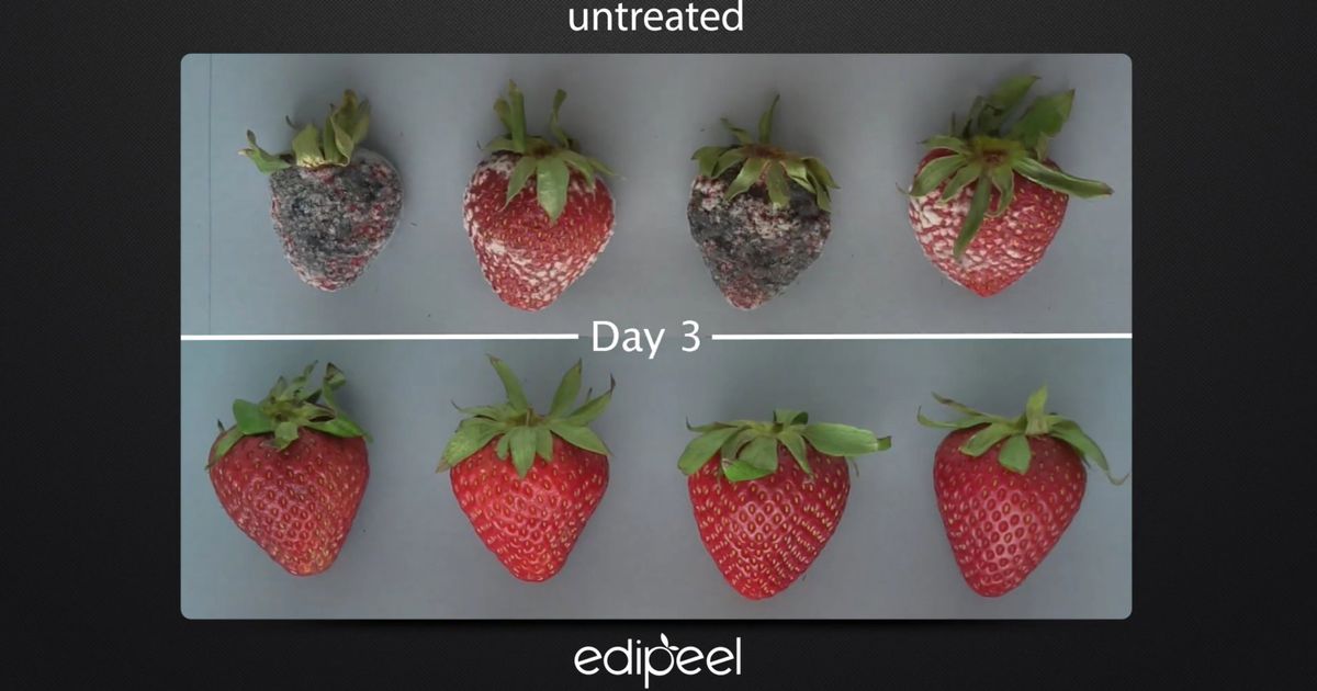 This Organic Edible Coating Can Quintuple Fruit's Shelf Life