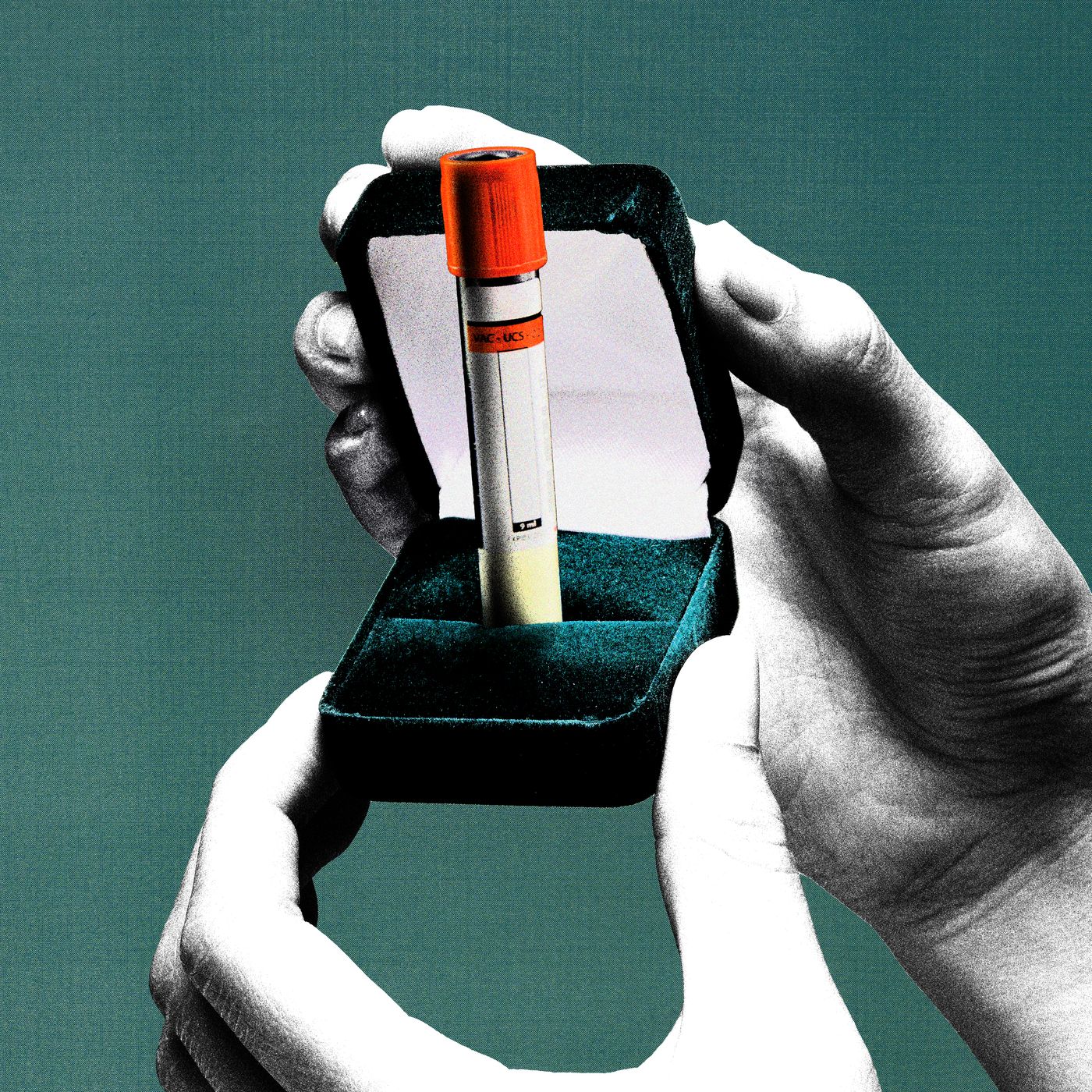 What Happens to Frozen Embryos When Couples Break Up?, image size:1400x1400