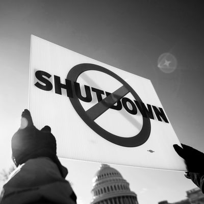 A scene from an anti-government shutdown protest in Washington.