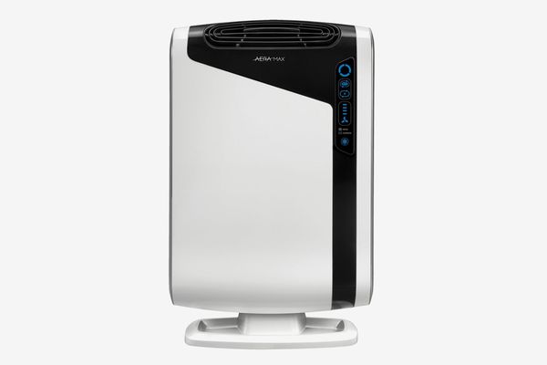 11 Best Air Purifiers 2020 | The Strategist | New York Magazine