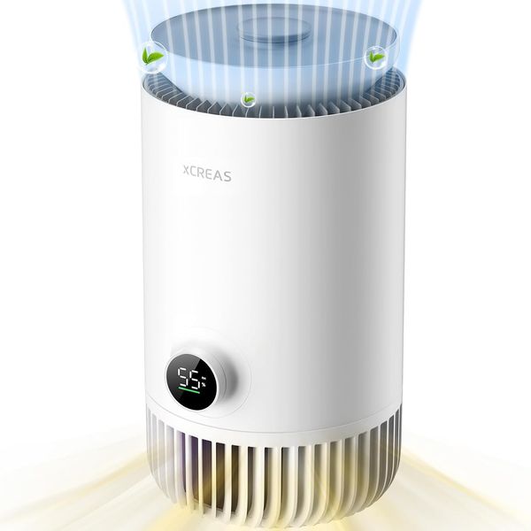 Humidifier & Air Purifier Combo