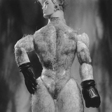 "The guy is this hideous oaf, this hirsute, overmuscled body and pretty-boy face — it's a shocking indictment of maleness."