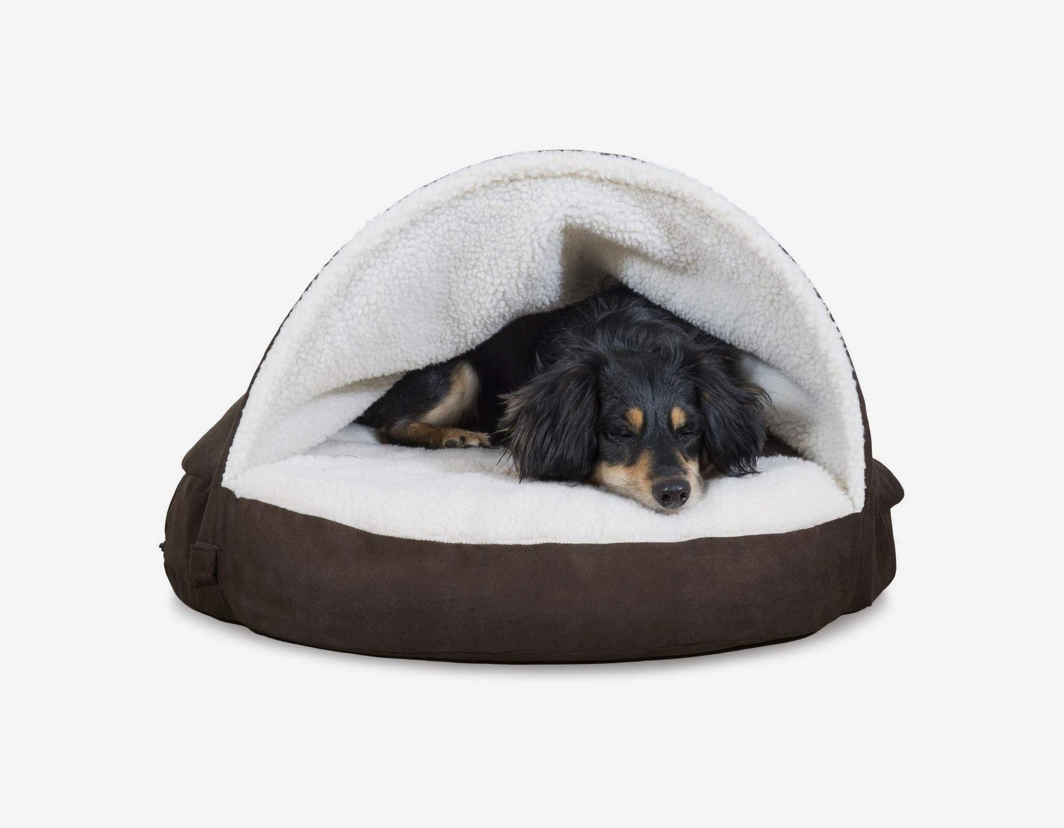 how do i choose a dog bed