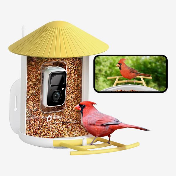 Netvue Birdfy Smart Bird Feeder With Camera
