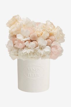 Venus et Fleur Fleura Porcelain Vase