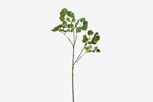 Terrain Faux-Ginkgo-Leaf Spray